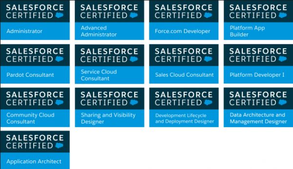 17 Grapes Salesforce Certifications